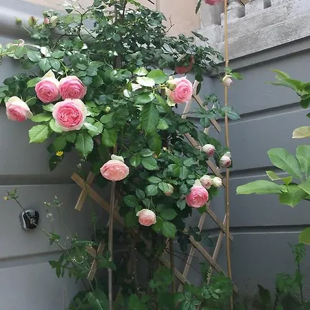 Opera 01 Maison De Charme Bed & Breakfast Cattolica